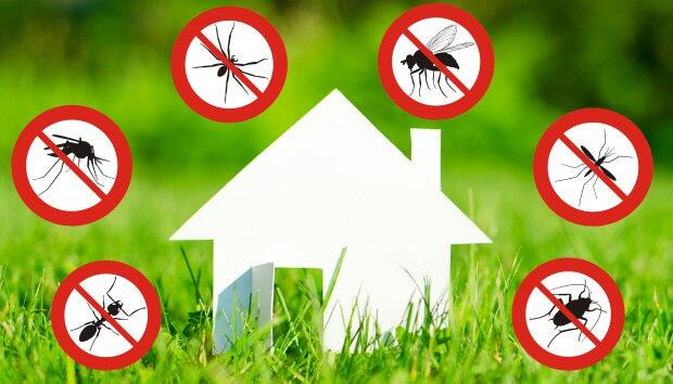 Avviso: Interventi di disinfestazione notturna sul territorio comunale 